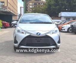 TOYOTA – VITZ  (Hybrid F Safety ED)