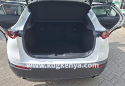 
										MAZDA – CX-30 (XD Proactive Touring / 2WD) full									