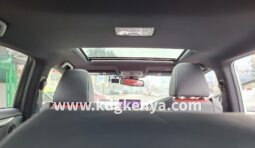 
										LEXUS – NX (NX300) full									