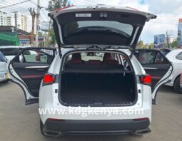 
LEXUS – NX300 (NX300 I PACKAGE ) full									