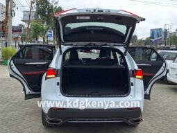 
										LEXUS – NX (NX300) full									