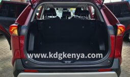 
										TOYOTA RAV4 (X GRADE FULL4WD ) full									