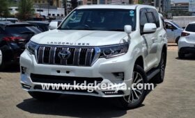 TOYOTA- LAND CRUISER PRADO (  TX )