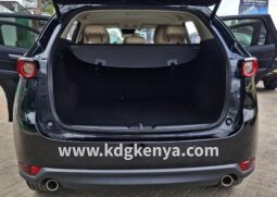 
										MAZDA CX-5 (  20S SILK BEIGE SELECTION ) full									