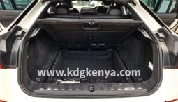 
										BMW X6 full									